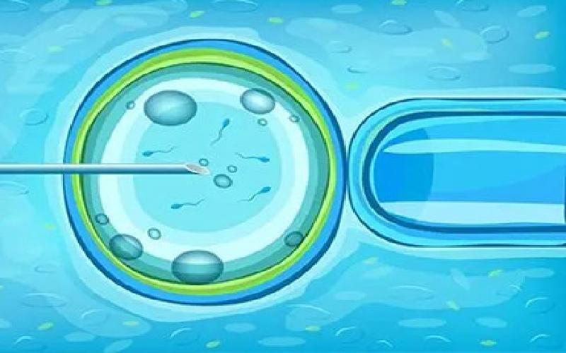 海阳试管婴儿代生